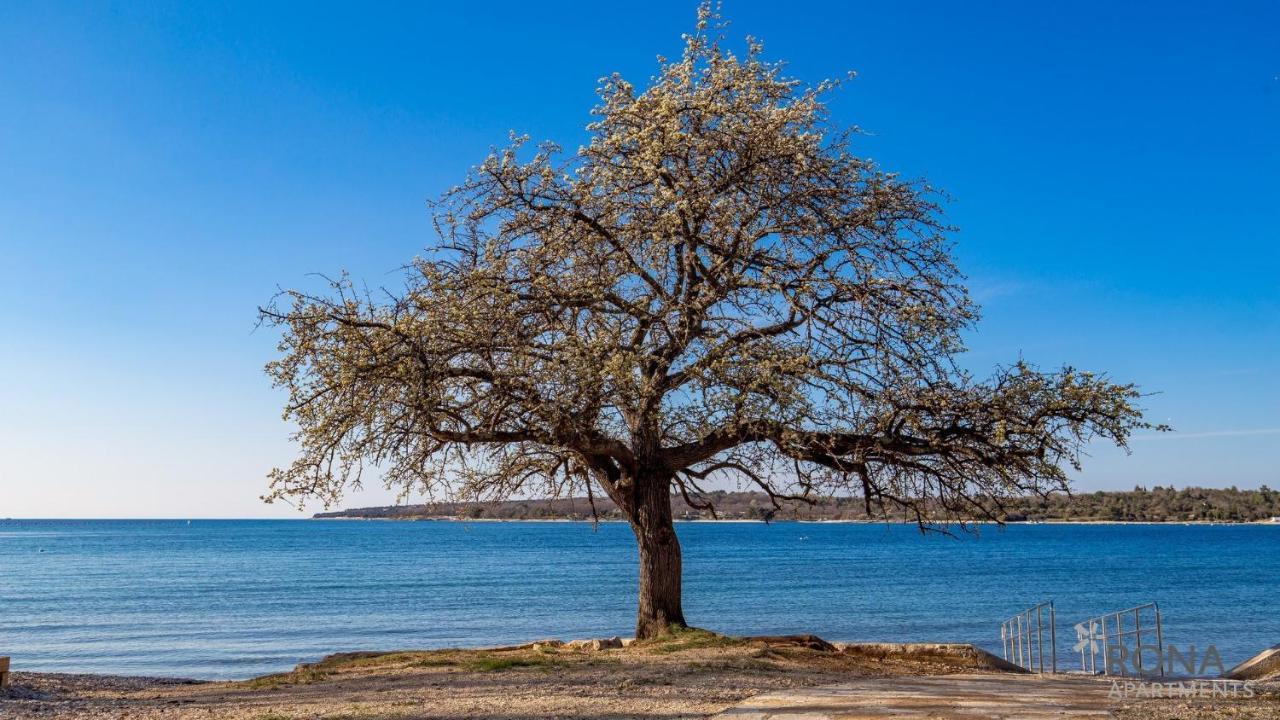 Rona Holiday Home Ana Poreč Exteriér fotografie